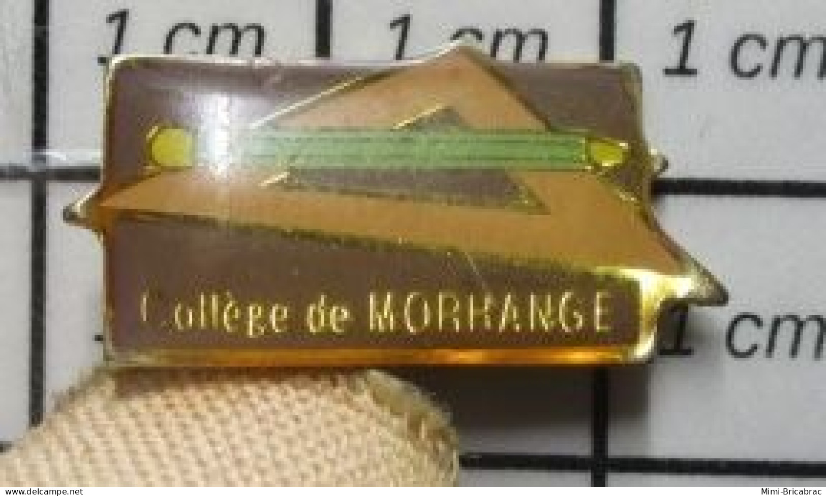 1818B Pin's Pins / Beau Et Rare / ADMINISTRATIONS / COLLEGE DE MORHANGE RAPPORTEUR CRAYON PAPIER - Administraties