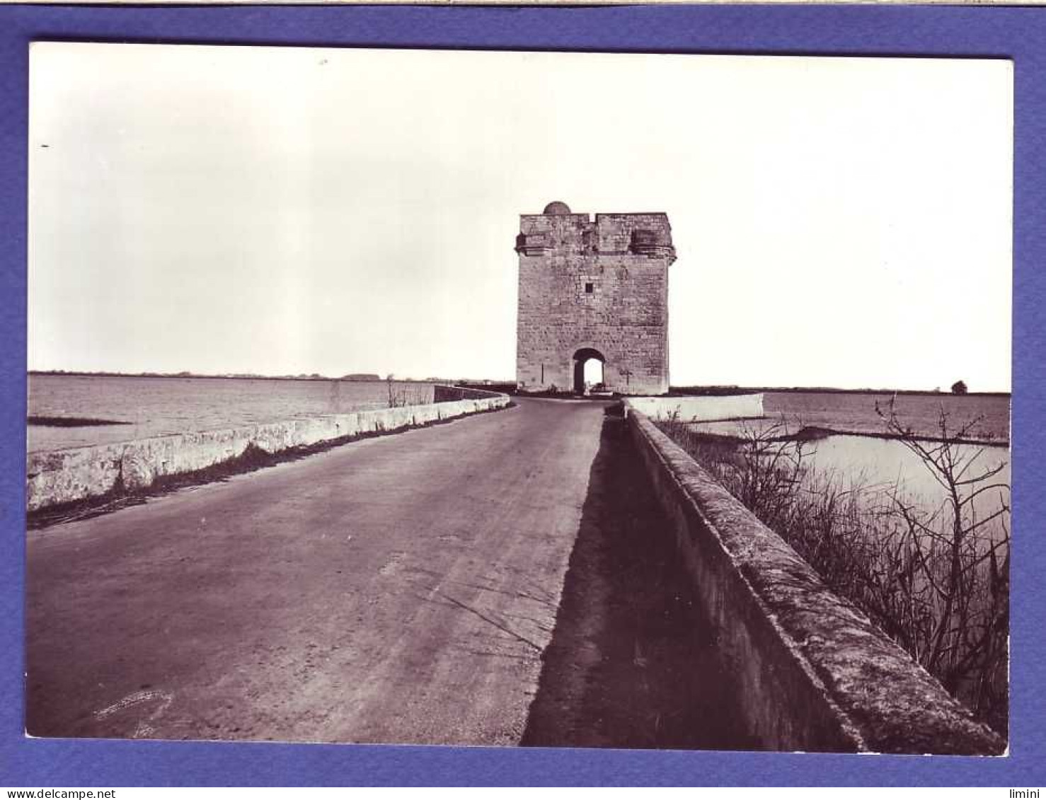 30 - AIGUES MORTES - TOUR CARBONNIERE -  - Aigues-Mortes