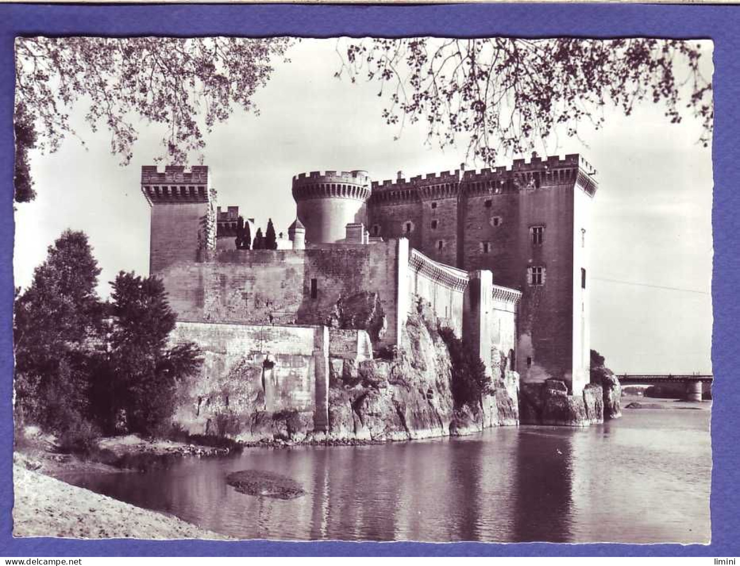 13 - TARASCON - CHATEAU Du ROI RENE - - Tarascon