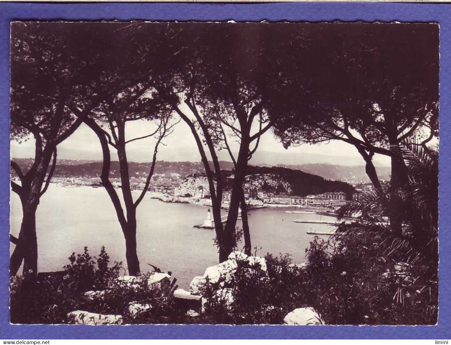 06 - NICE - ENTRE Les PINS -  - Other & Unclassified