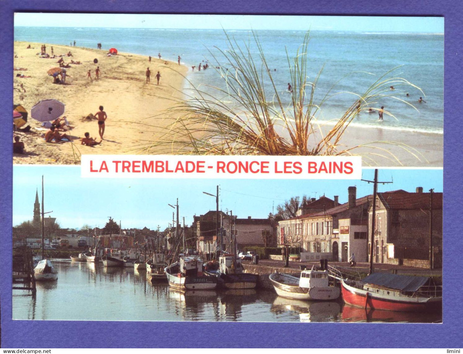 17 - LA TREMBLADE -  RONCE LesBAINS - MULTIVUES - ANIMEE - - La Tremblade