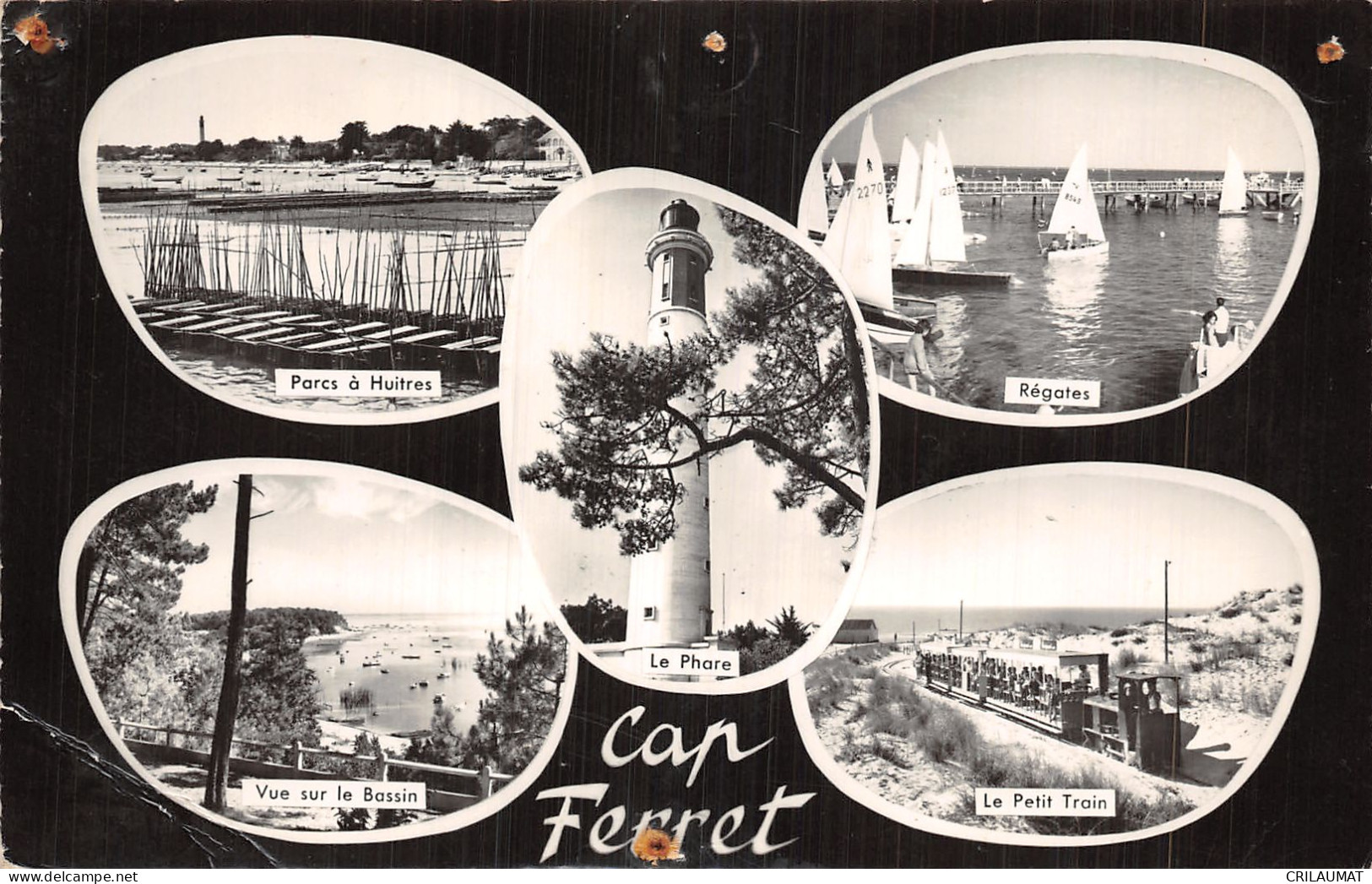 33-CAP FERRET-N°5137-H/0367 - Other & Unclassified