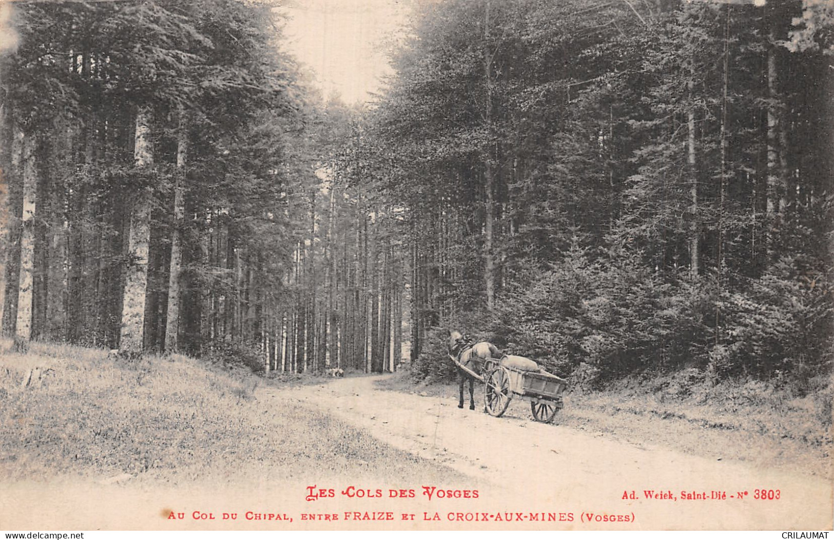 88-COL DU CHIPAL-N°5137-H/0309 - Sonstige & Ohne Zuordnung