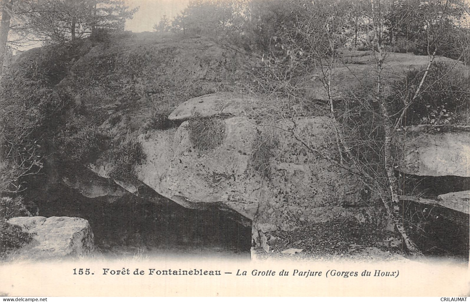 77-FONTAINEBLEAU LA FORET-N°5137-F/0279 - Fontainebleau