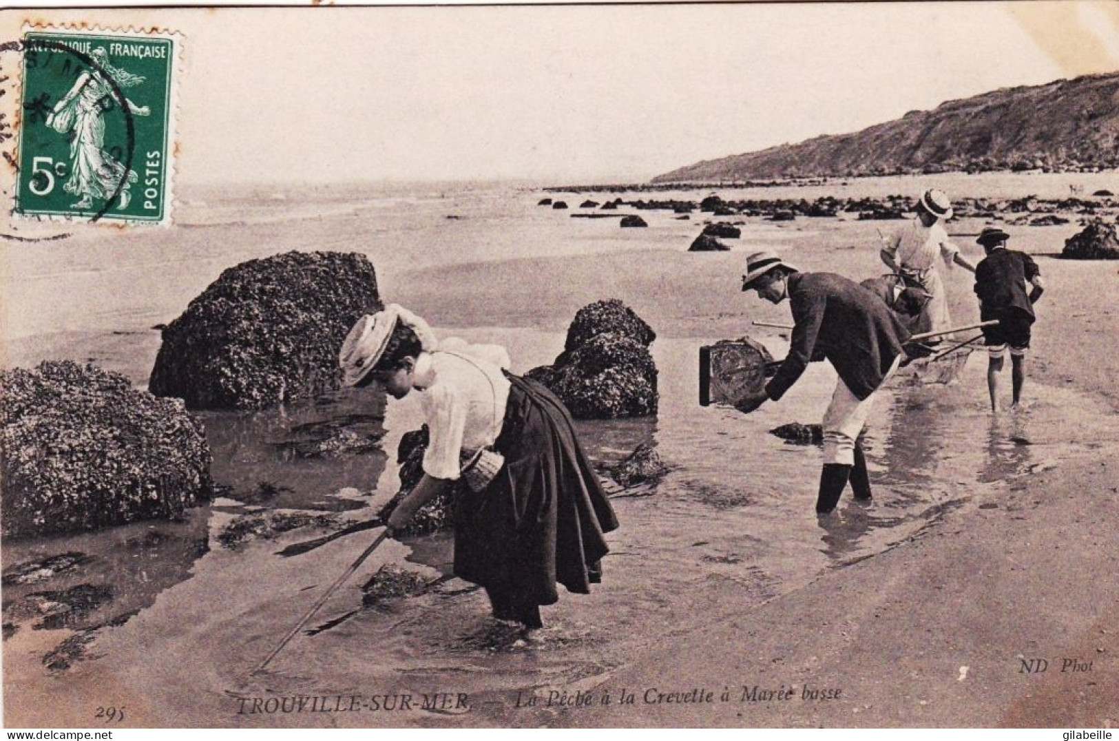 14 - Calvados -  TROUVILLE Sur MER - La Peche A La Crevette A Marée Basse - Trouville