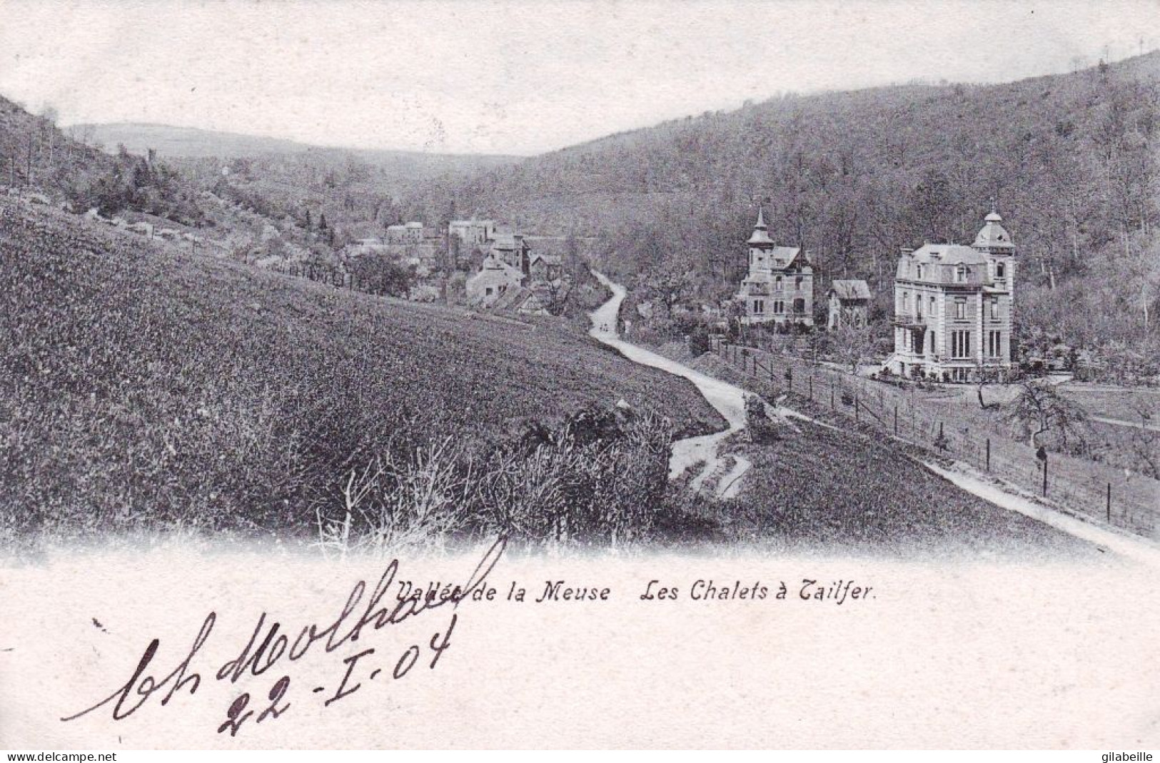 Les Chalets A TAILFER ( Namur )  - Vallée De La Meuse - Other & Unclassified