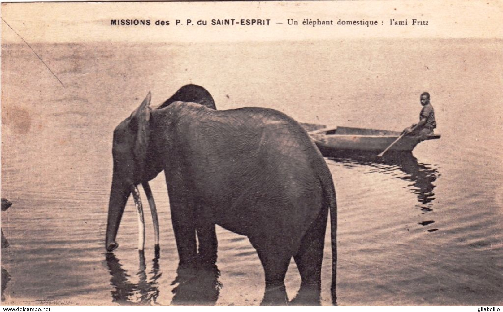 MISSIONS Des P P Du St Esprit - Un Elephant Domestique L ' Ami FRITZ - Elephants