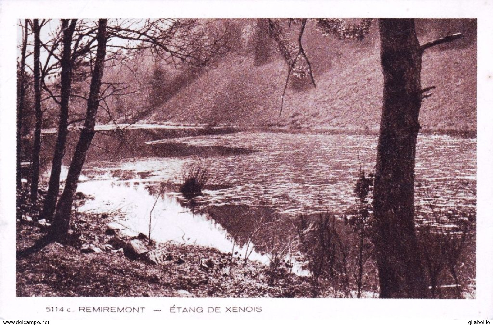 88 - Vosges -  REMIREMONT - Etang De Xenois - Remiremont