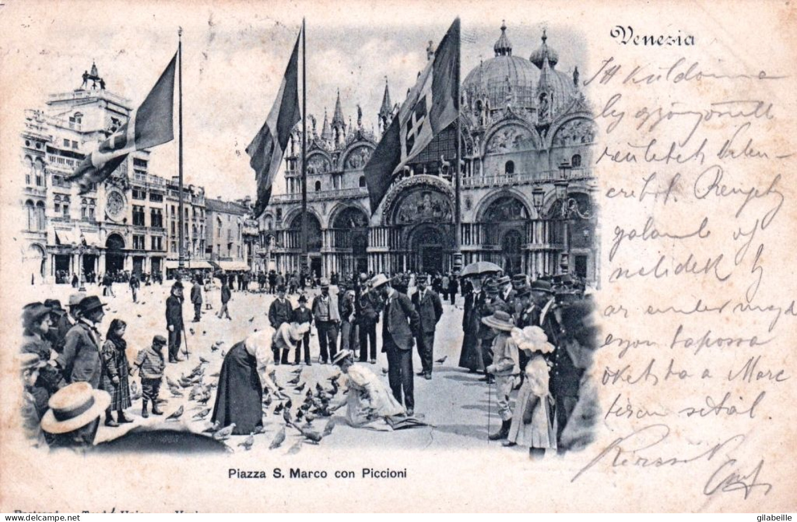 VENISE - VENEZIA - Piazza S Marco Con Piccioni - 1915 - Vicenza