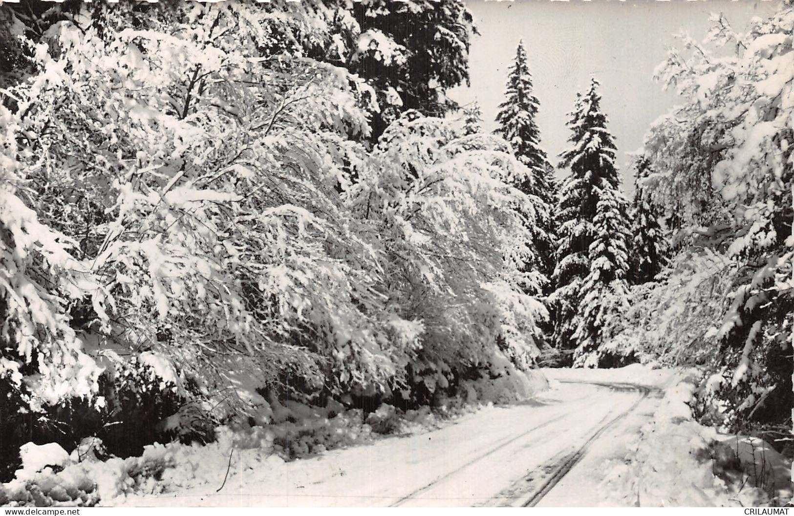 73-SAVOIE PAYSAGE D HIVER-N°5138-C/0153 - Sonstige & Ohne Zuordnung