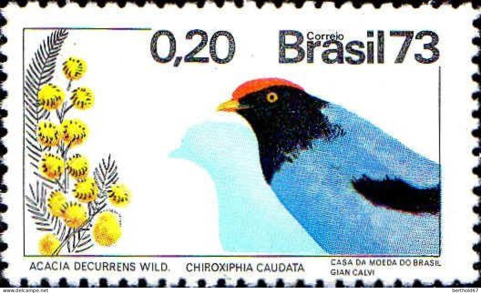 Brésil Poste N** Yv:1035/1037 Oiseaux - Nuovi