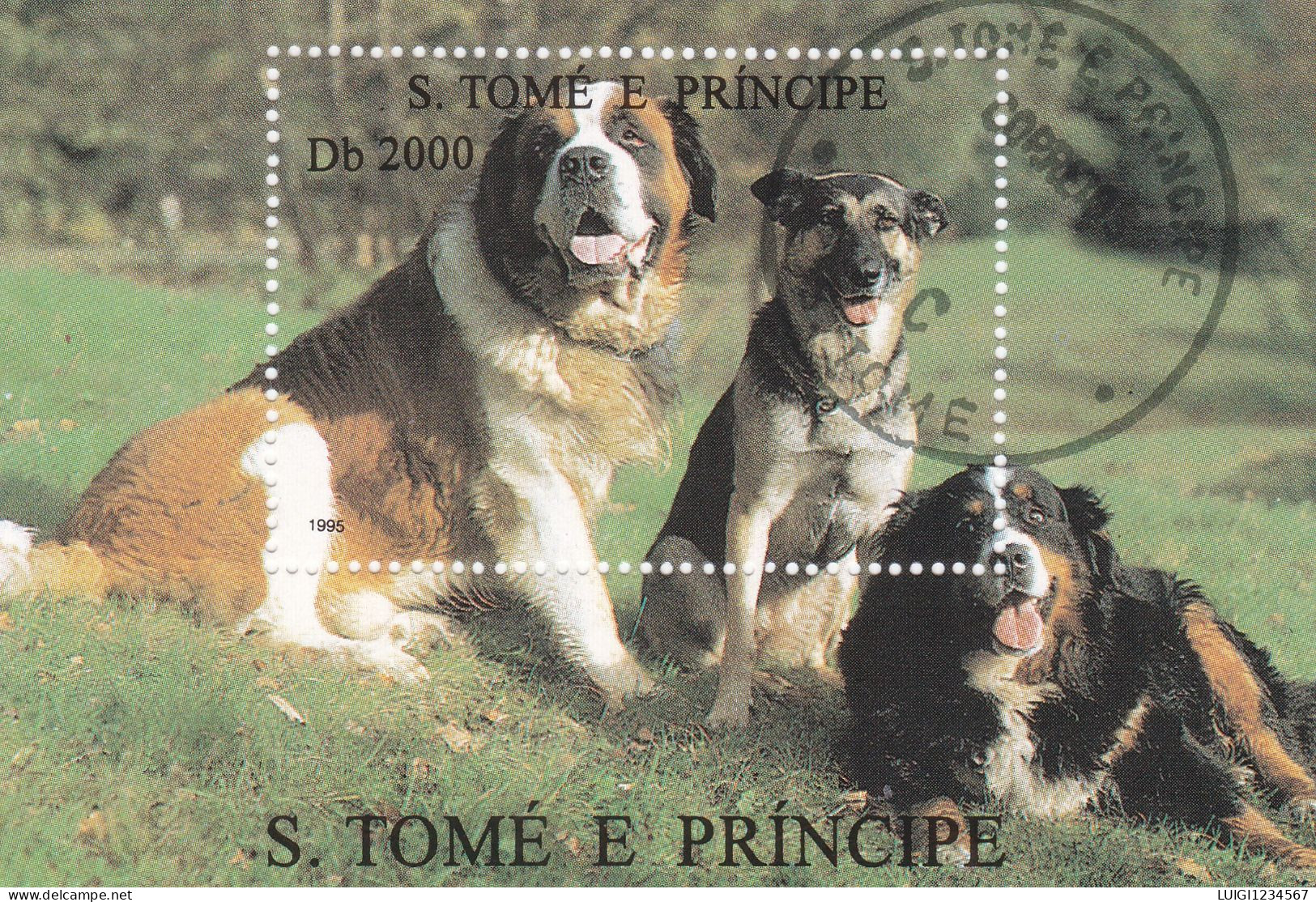 SAN TOME E PRINCE - FOGLIETTO. CANI DI RAZZA - Dogs