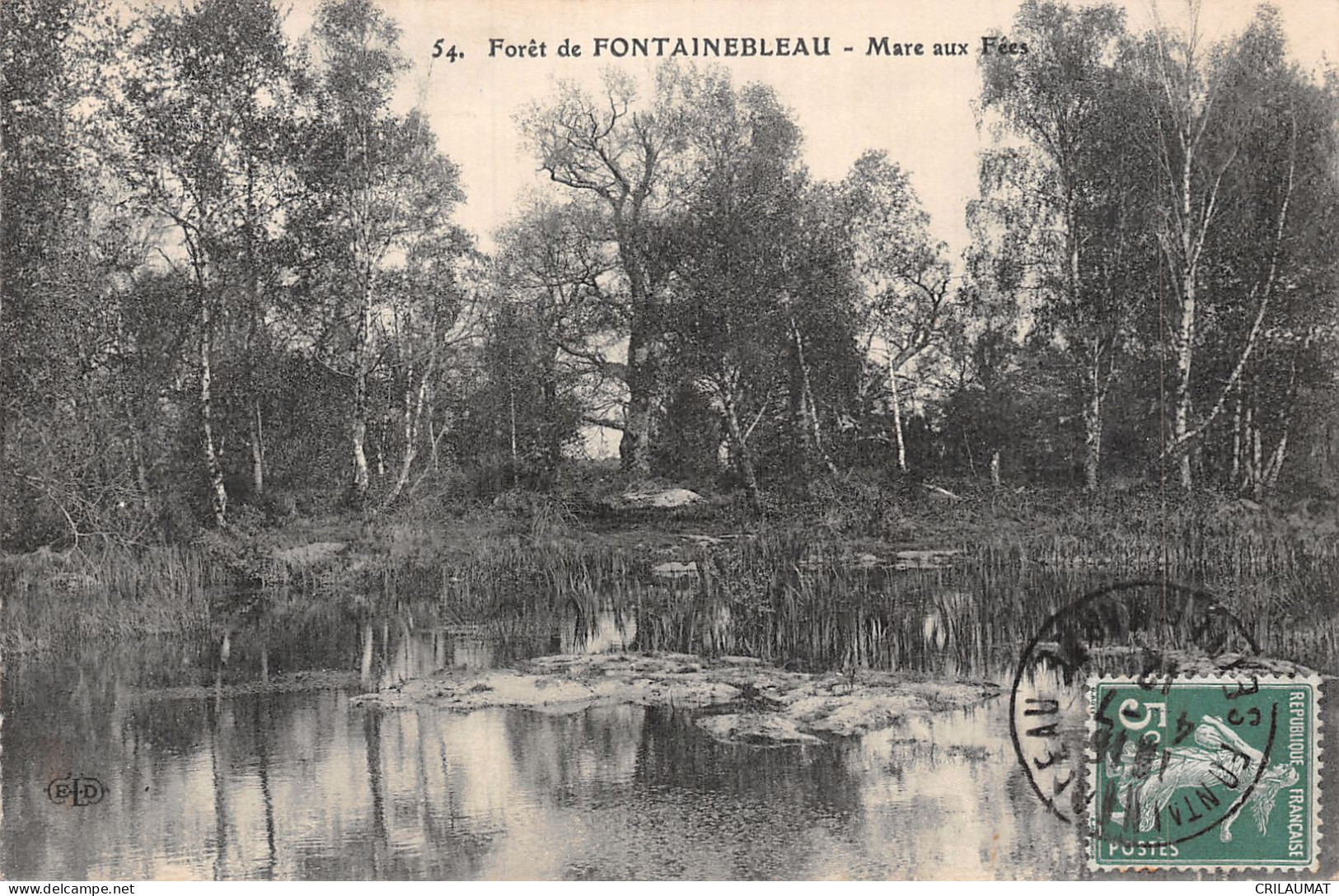 77-FONTAINEBLEAU LA FORET MARE AUX FEES-N°5138-D/0165 - Fontainebleau