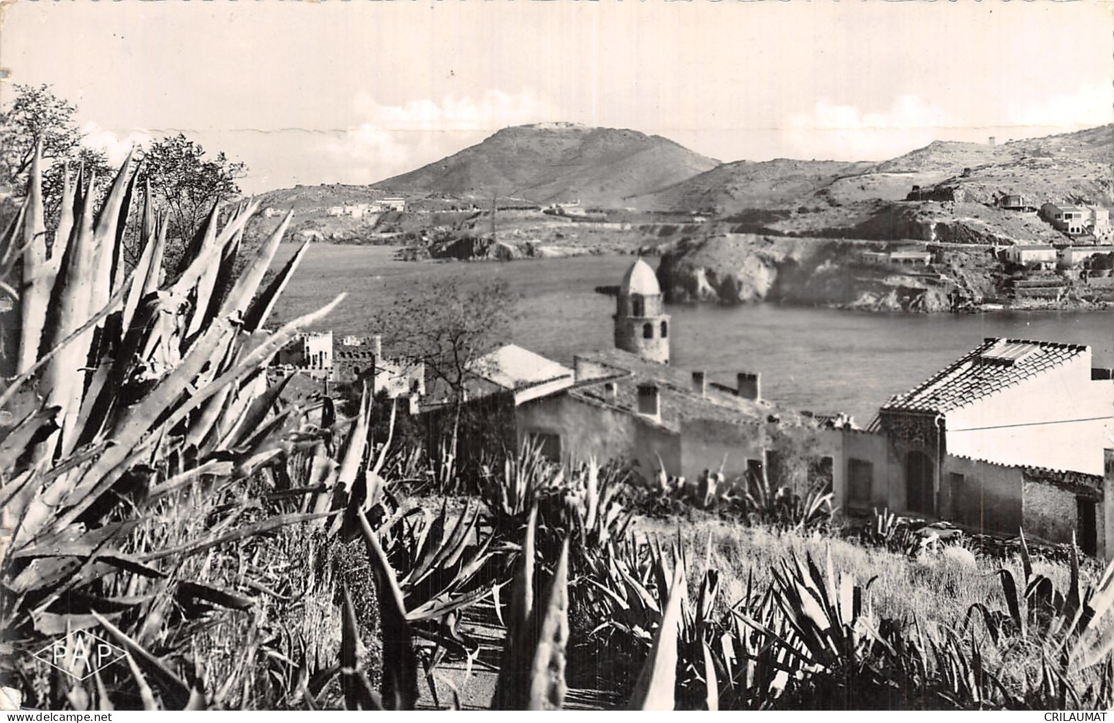 66-COLLIOURE-N°5138-G/0055 - Collioure