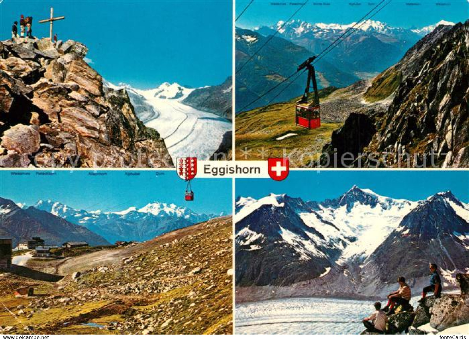13314797 Fiesch Eggishorn Jungfraugebiet Kuehboden Walliser Alpen Aletschhorn Fi - Other & Unclassified