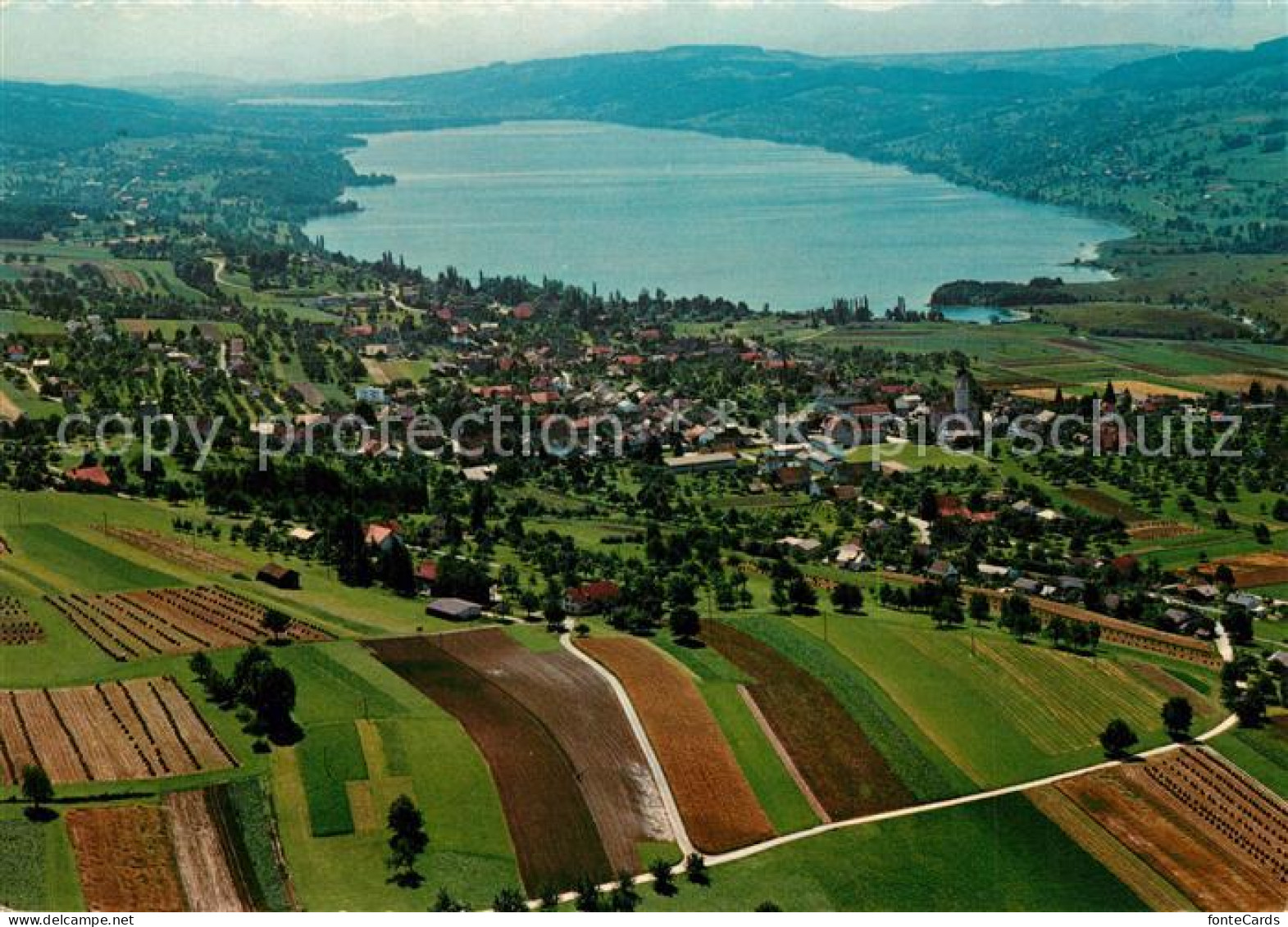 13312677 Hallwilersee Fliegeraufnahme Hallwilersee - Autres & Non Classés