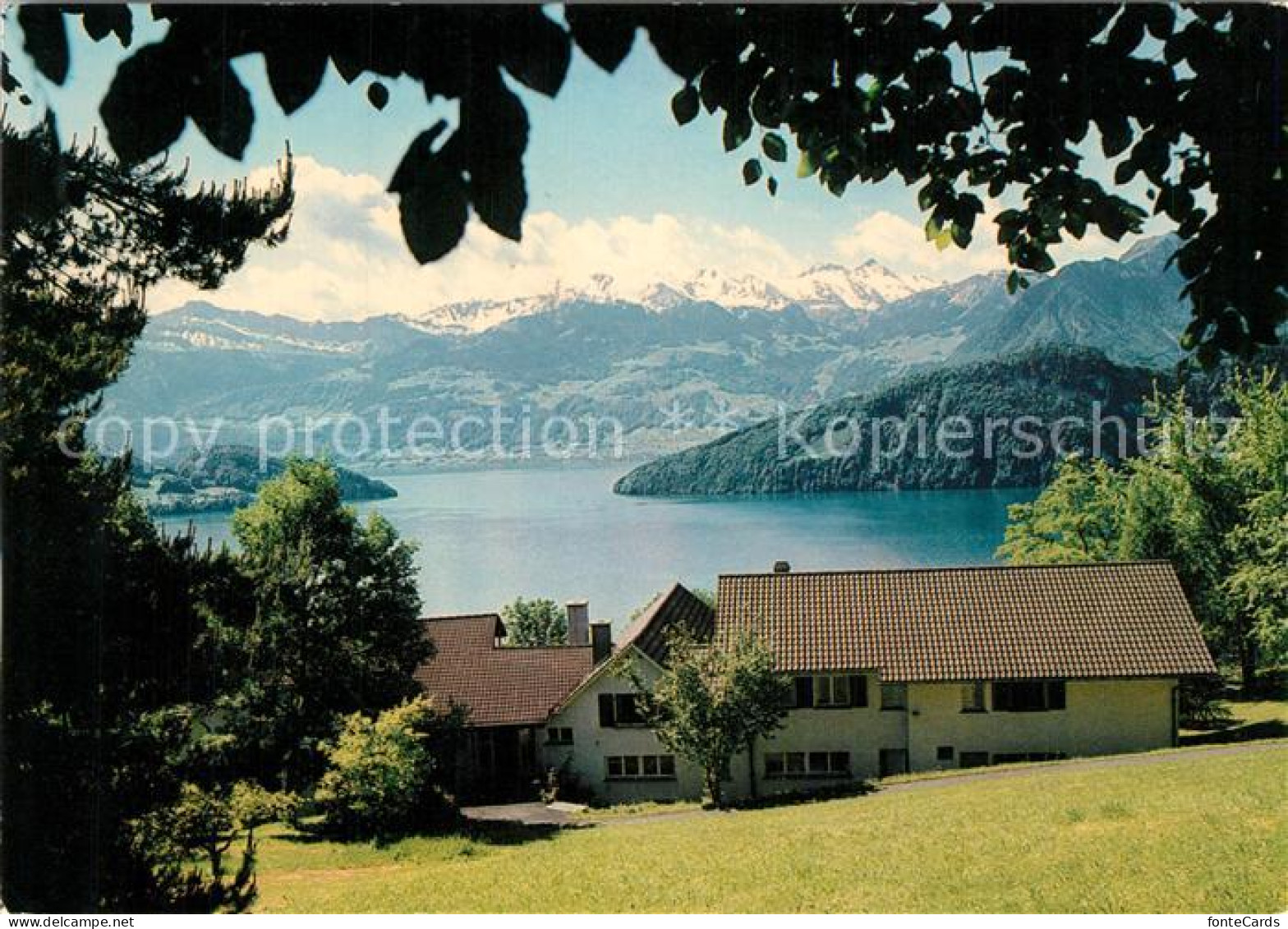 13311039 Weggis Vierwaldstaettersee Pension Blaukreuzheim Alpenpanorama Weggis V - Andere & Zonder Classificatie