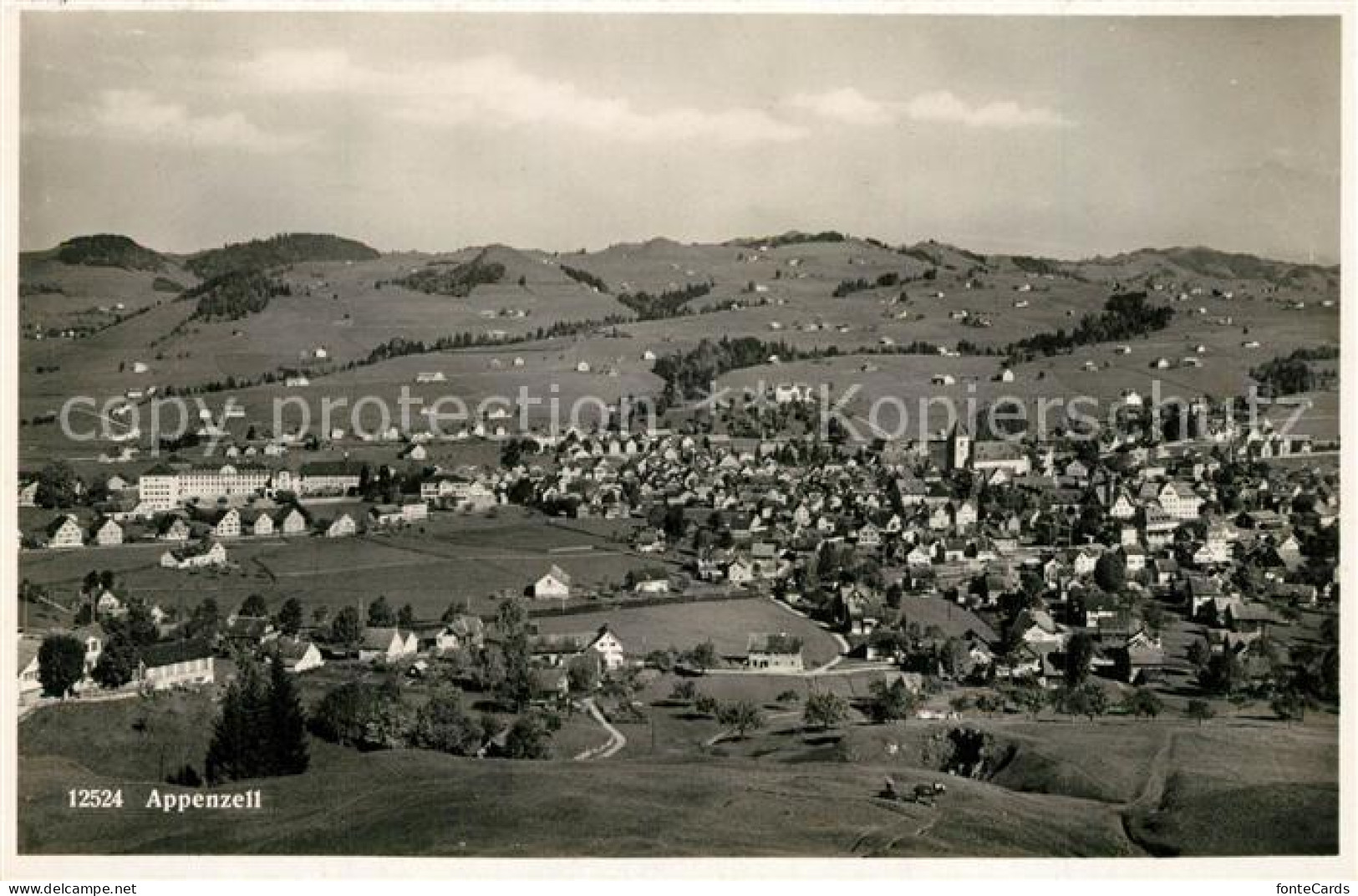 13304059 Appenzell IR  Appenzell IR - Altri & Non Classificati