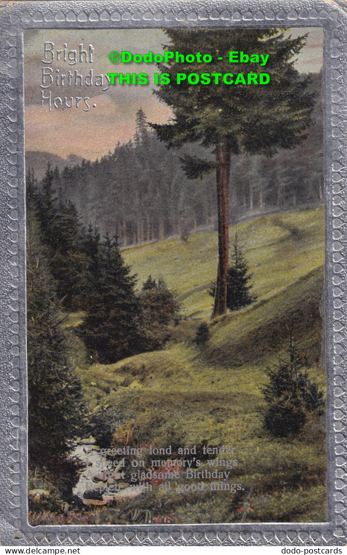 R355460 Bright Birthday Hours. Forest. Postcard - World