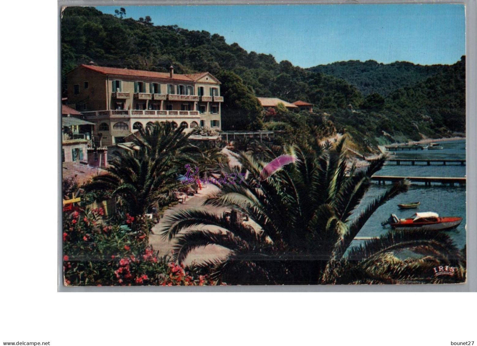 ILE DE PORT CROS 83 - Un Coin Du Port Plage Bateau Palmier - Autres & Non Classés