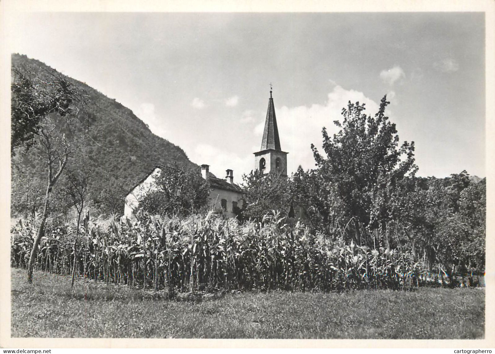 Postcard Switzerland Arcegno Kirche - Other & Unclassified