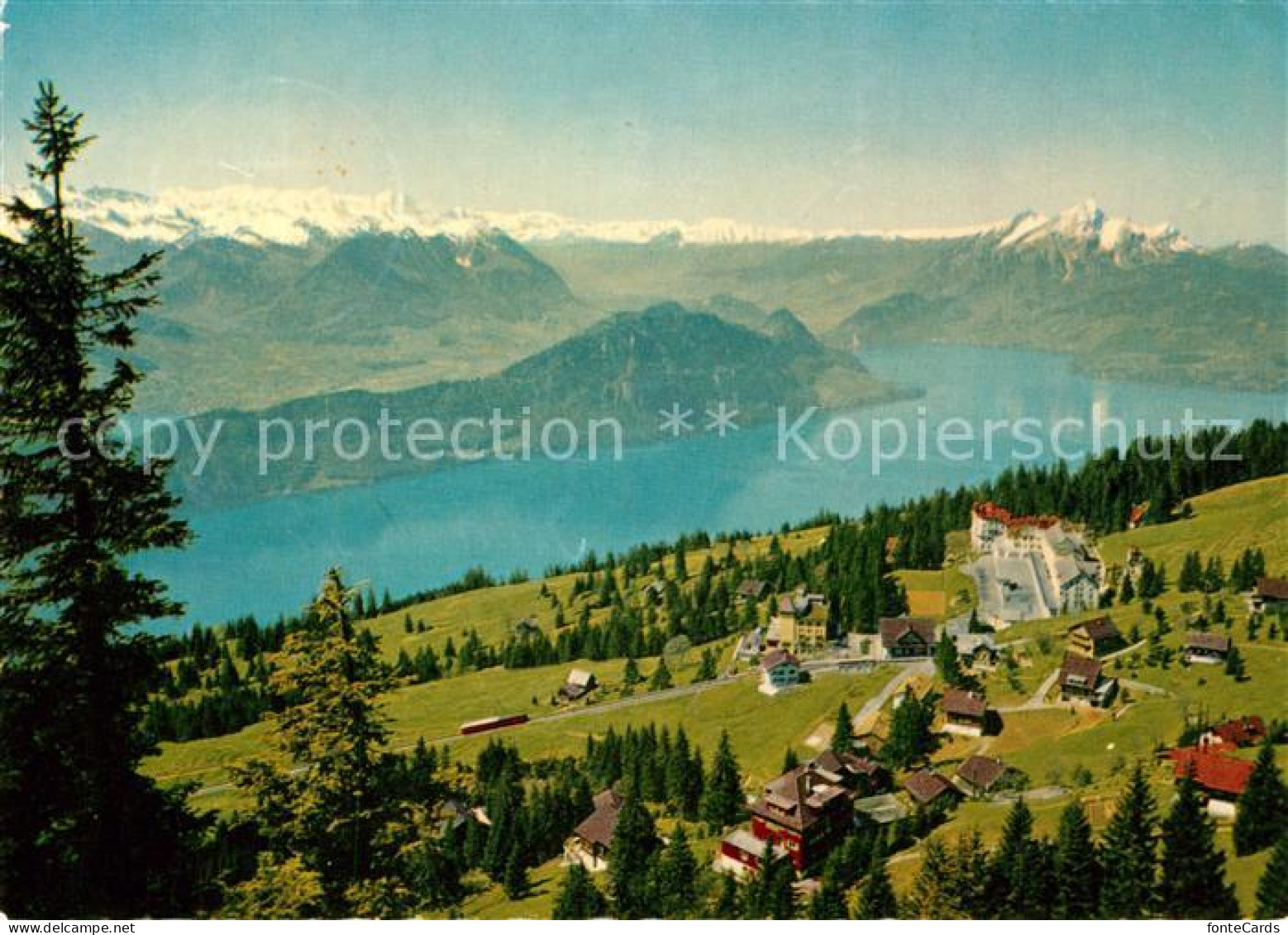 13300357 Rigi Kaltbad Mit Vierwaldstaettersee Buergenstock Pilatus Rigi Kaltbad - Sonstige & Ohne Zuordnung