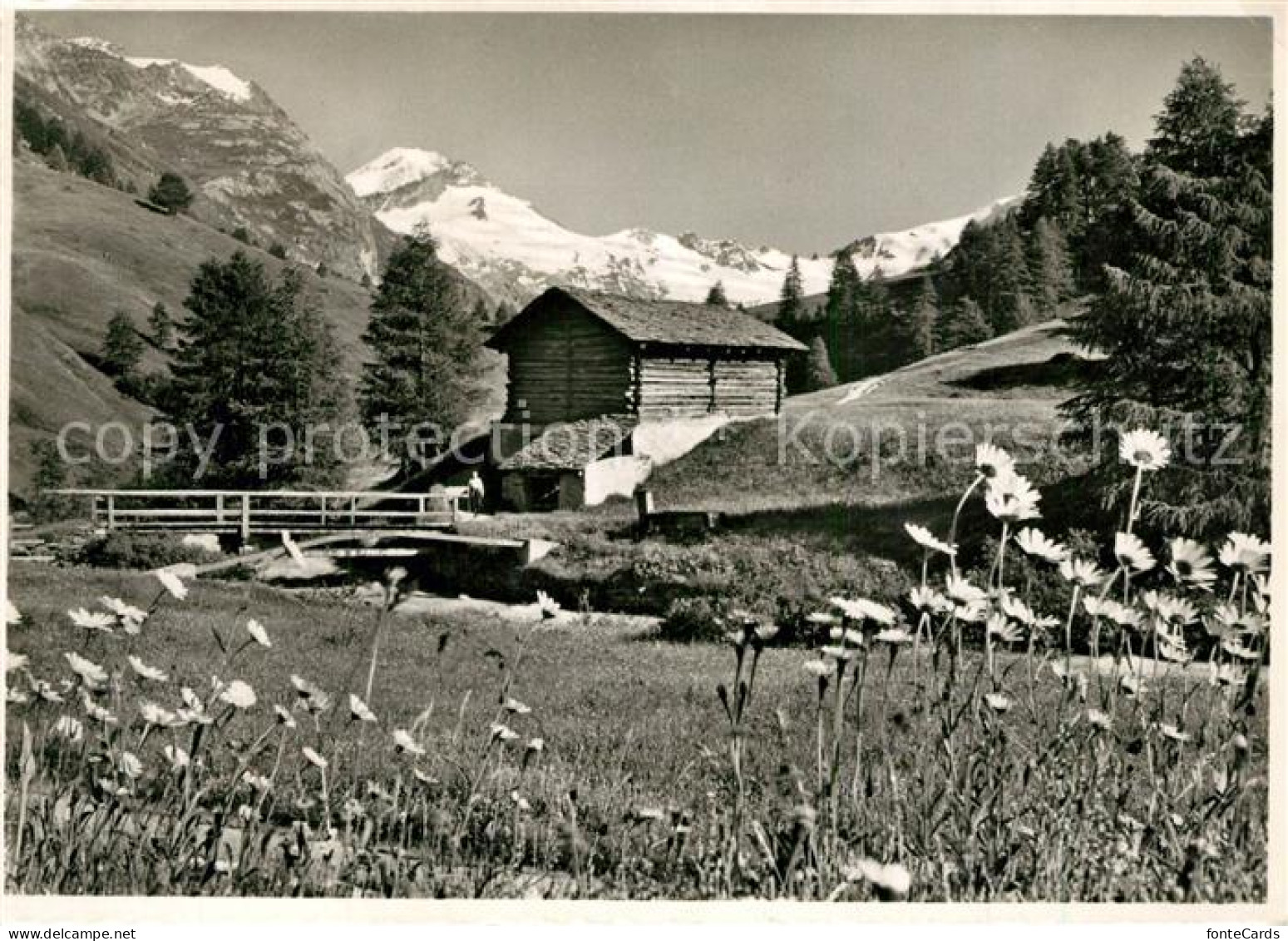 13300337 Fextal Fartie Mit Chapuetschin Und Piz-Tremoggia Fextal - Sonstige & Ohne Zuordnung