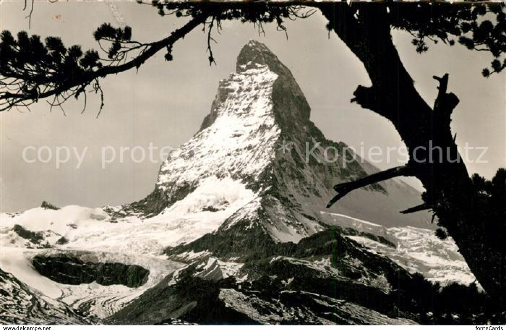 13300299 Zermatt VS Riffelalp Matterhorn Zermatt VS - Altri & Non Classificati