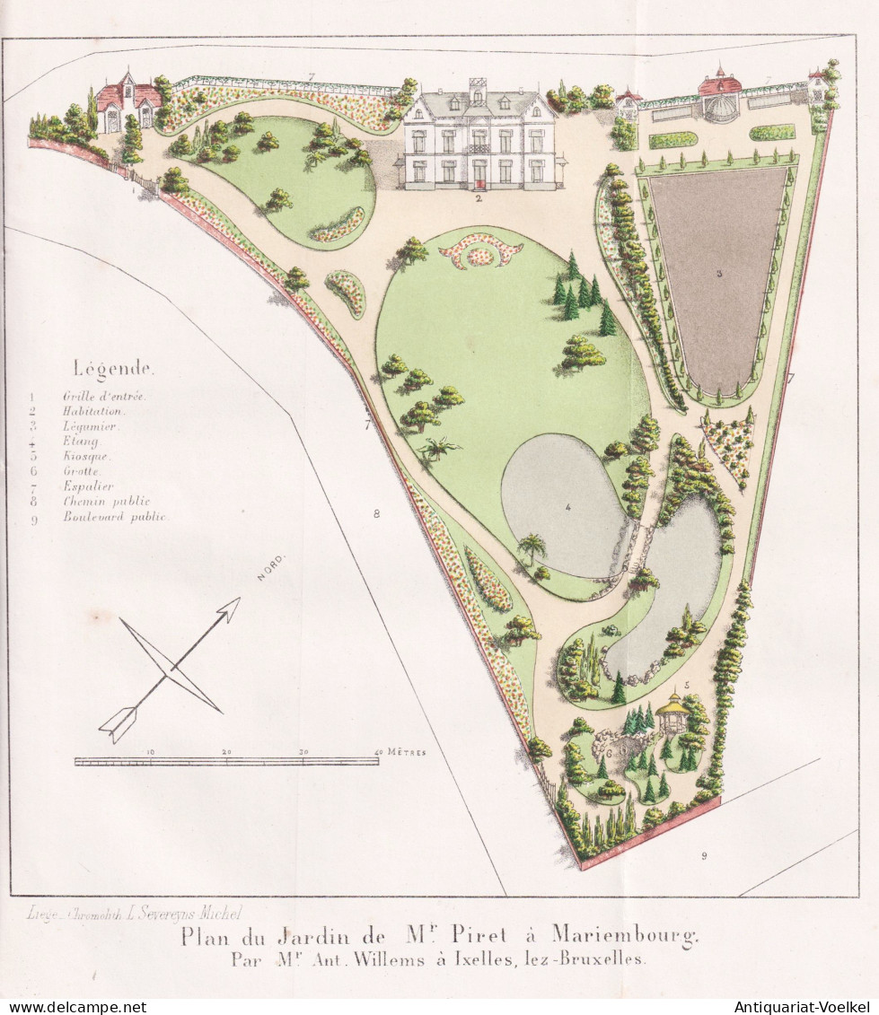 Plan Du Jardin De Mr. Piret à Mariembourg - Region Wallonne Wallonie / Belgique Belgium Belgien / Botanical B - Prenten & Gravure