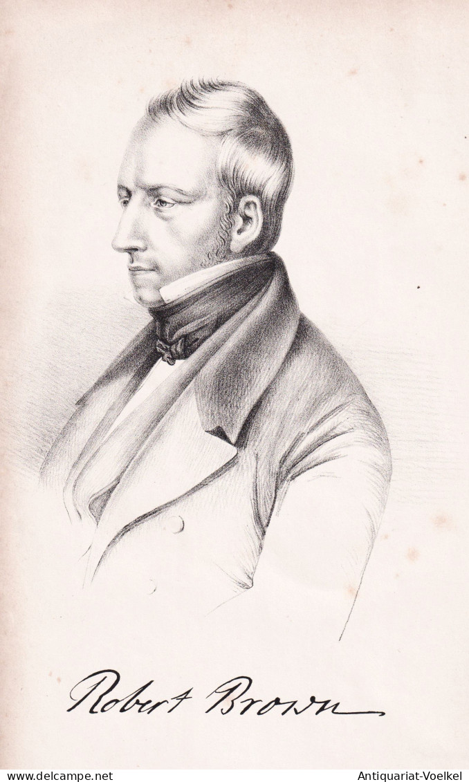 Robert Brown - (1773-1858) Botaniker Botanist / Portrait / Botanical Botanik Botany - Estampes & Gravures