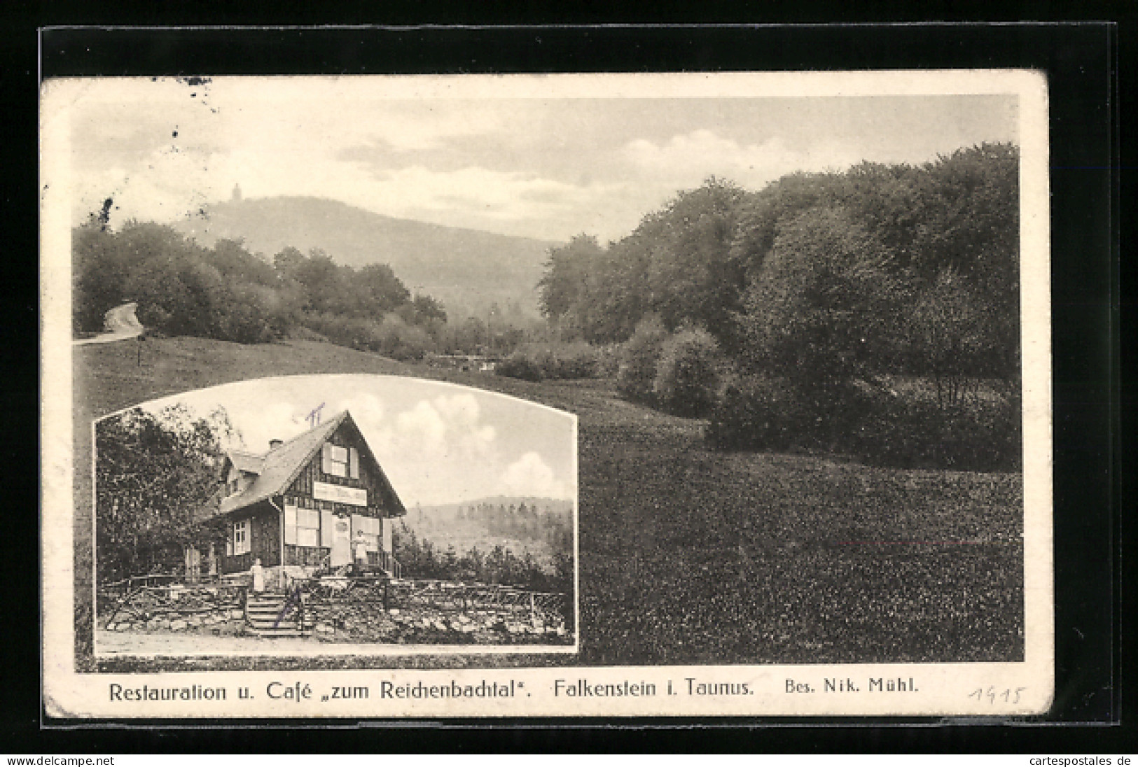 AK Falkenstein /Ts., Gasthaus Zum Reichenbachtal N. Mühl Mit Umgebungt  - Autres & Non Classés