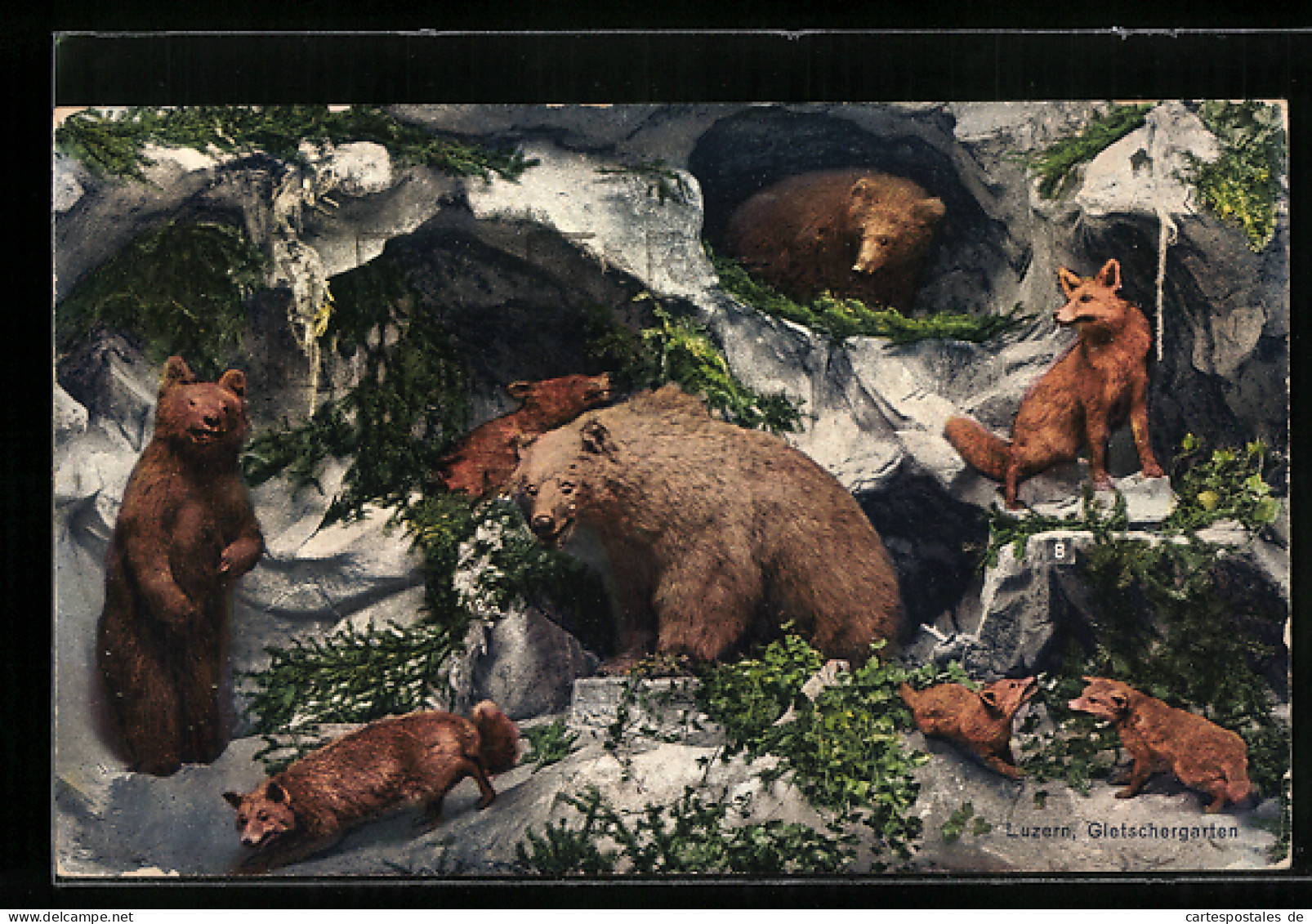 AK Luzern, Ausgestopfte Bären Und Füchse Im Gletschergarten, Alpentier-Museum  - Bears