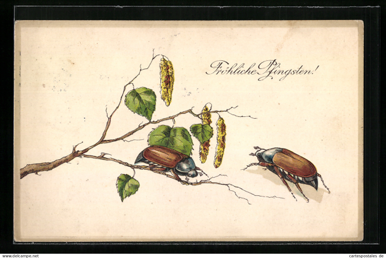 Lithographie Zwei Maikäfer Mit Birkenzweig, Pfingstgruss  - Insectes