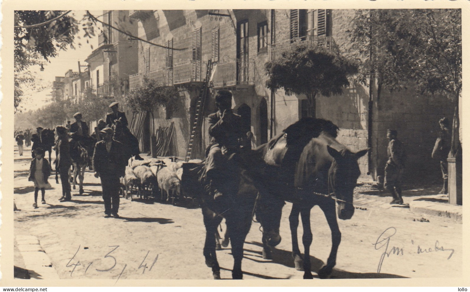 Sicilia  -   Agrigento  -   Canicatti  -   Giorno Di Mercato   - F. Piccolo  -  Scritta  -  Bella  Animata - Fotografica - Sonstige & Ohne Zuordnung