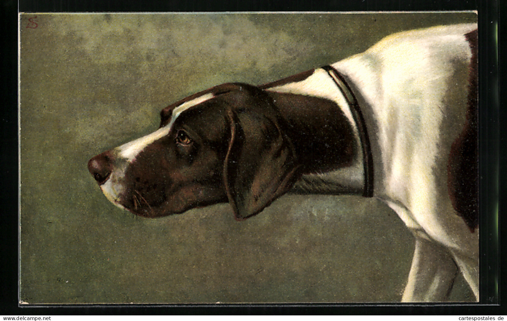 AK Jagdhund Mit Vorgestrecktem Kopf, Portrait  - Hunde