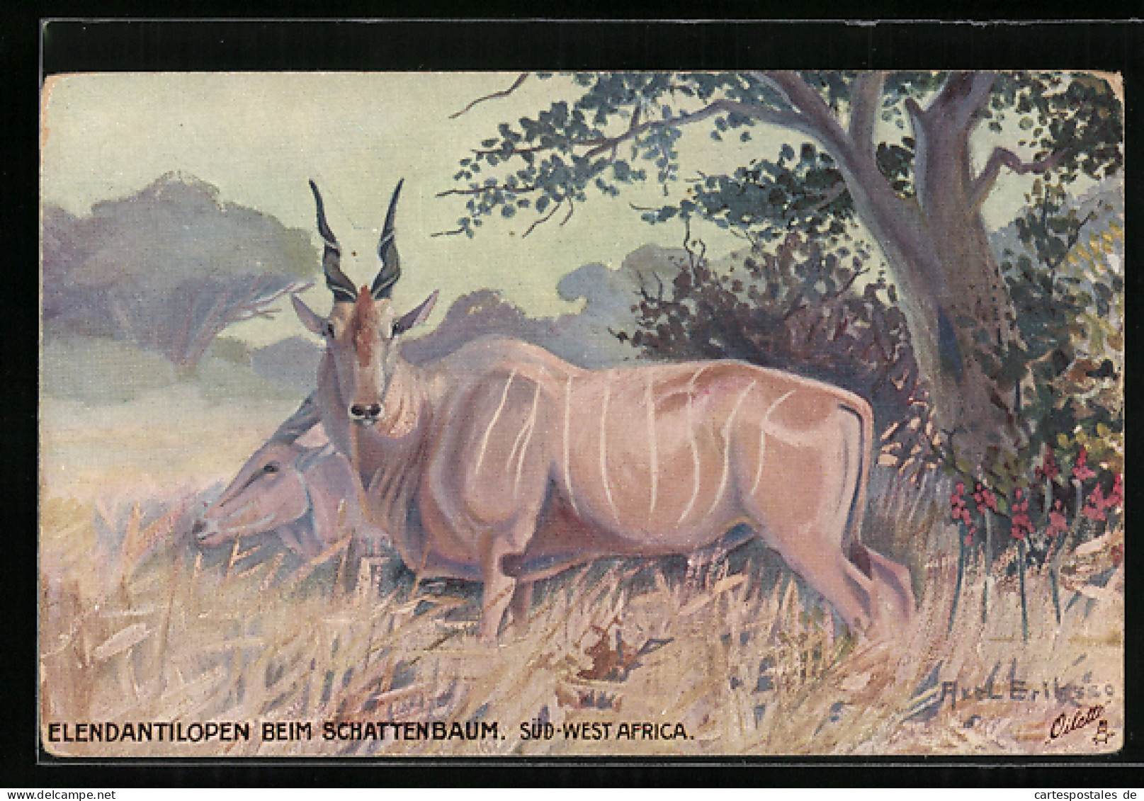 Künstler-AK Raphael Tuck & Sons Nr. 946: Elenantilope Bei Schattenbaum  - Autres & Non Classés