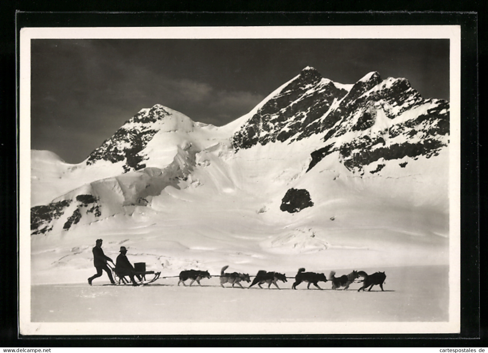 AK Jungfraujoch, Schlitten Mit Polarhunden Und Fahrgast Gegen Jungfrau  - Honden