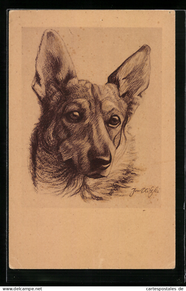 AK Schäferhund, Portrait, Zeichnung  - Chiens