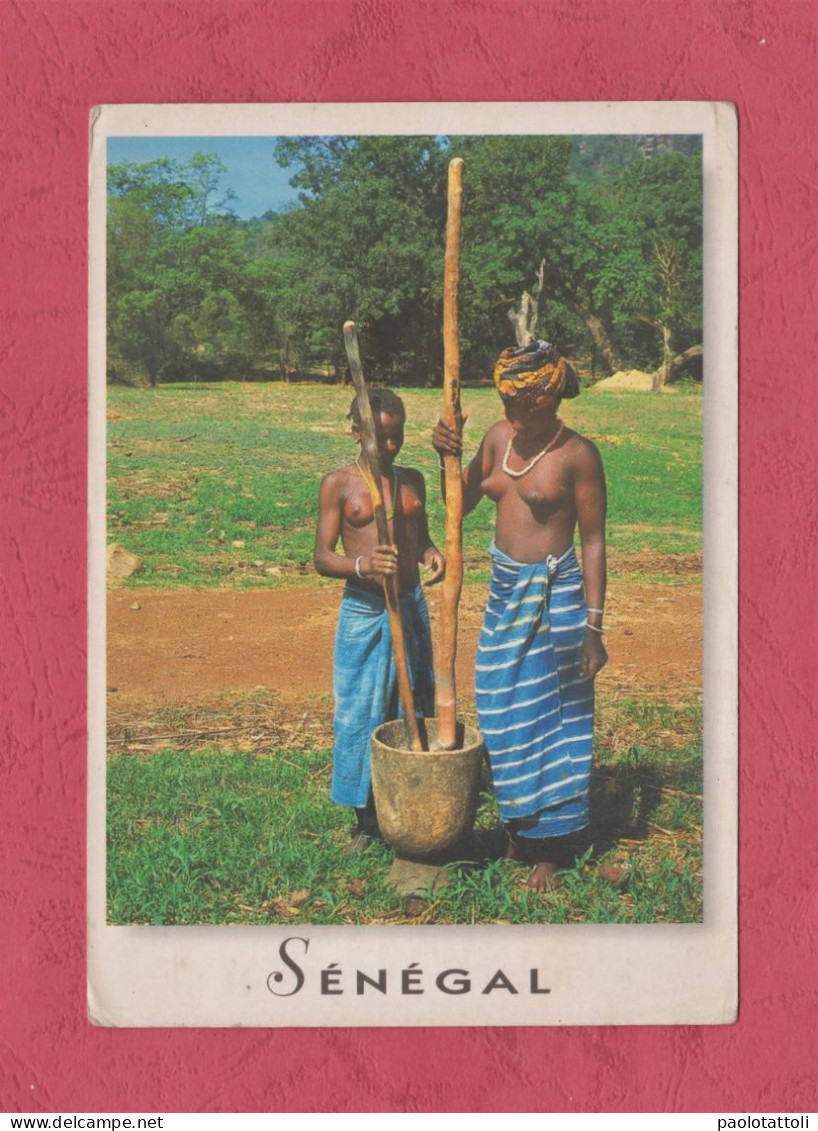 Senegal. Jeunes Femmes Peul. Charmes Et Colueurs Du Senegal- Standard Size, Divided Back, New, Ed. Gacou N° CB32. - Senegal