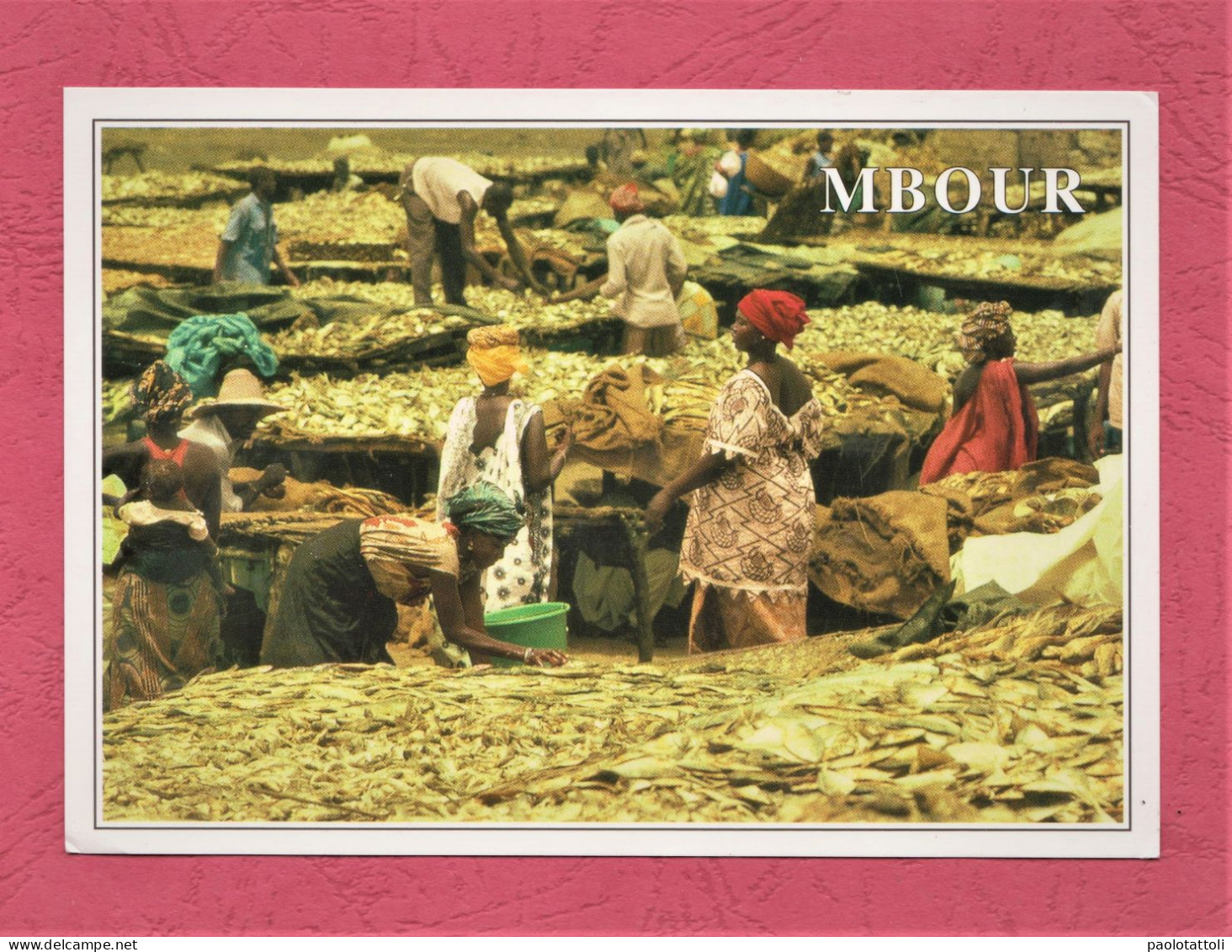 Senegal. Mbour- Sechage De Poisson. Standard Size, Divided Back, Photo  Karim Boye. Ed. Africa° 288. New. - Sénégal