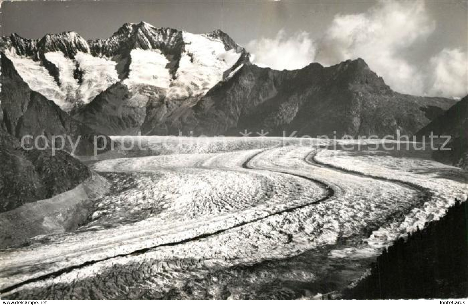 13297779 Aletschgletscher Blick Vom Aletschwald Wannehorn Aletschgletscher - Other & Unclassified