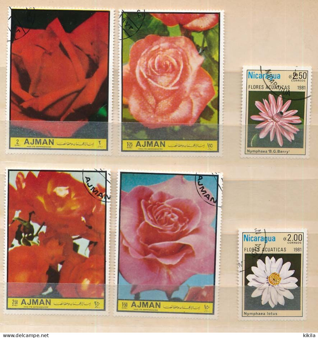 6 Timbres Oblitérés Différents VIII-2 Fleurs  AJMAN 4 Roses  NICARAGUA 2 Nymphea - Roses