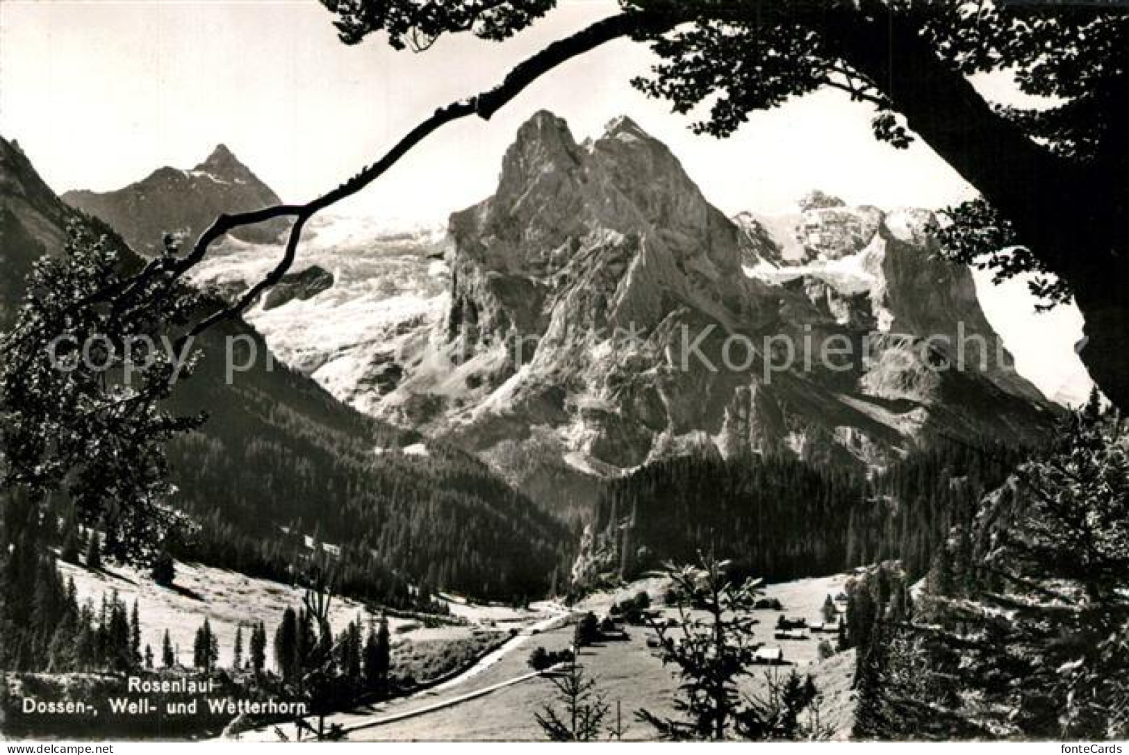 13297329 Rosenlaui BE Dossen Well Und Wetterhorn Rosenlaui BE - Andere & Zonder Classificatie