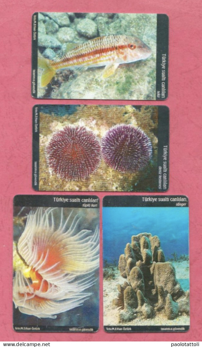 Turkey- Turk Telecom- Turkish Sea Life- Used Pre Paid Phone Cards By 50 & 100 Units- Lot Of Four Cards- - Turkey