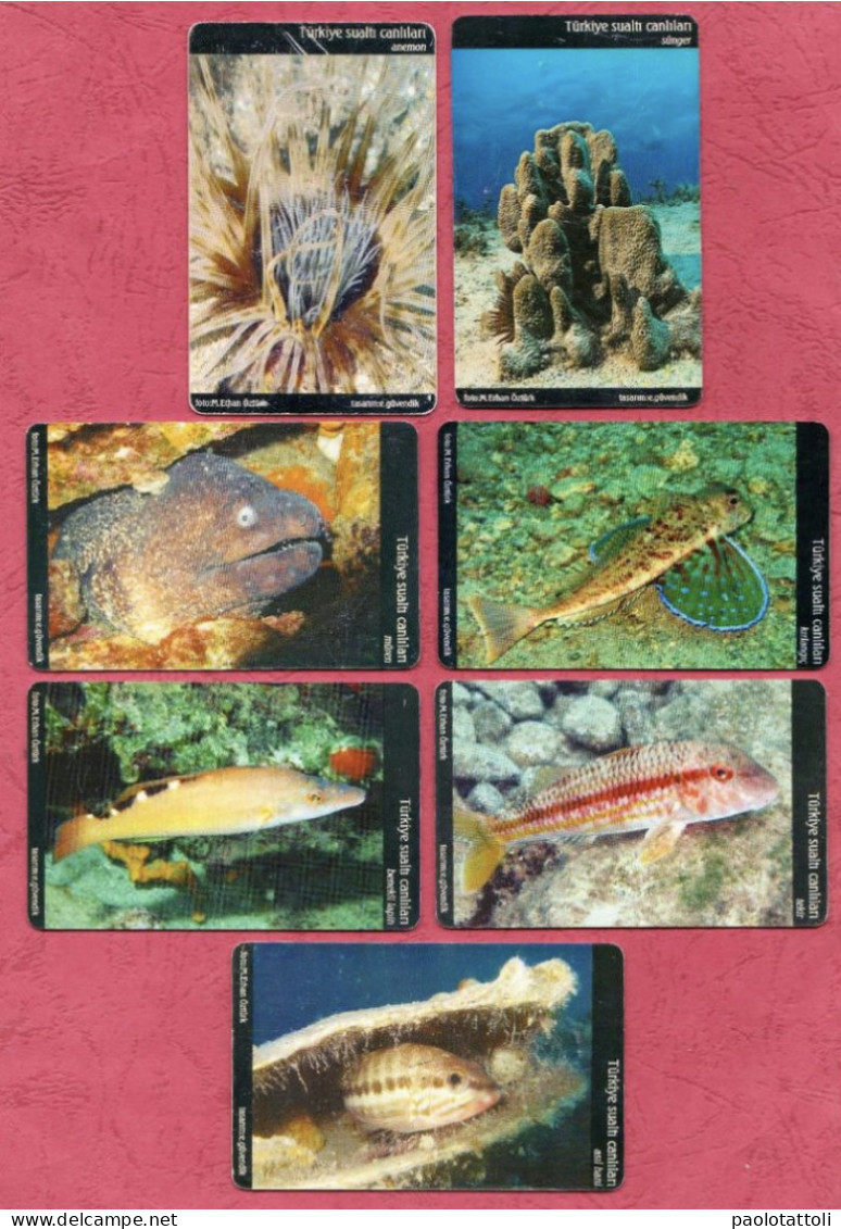 Turkey- Turk Telecom- Turkish Sea Life- Used Pre Paid Phone Cards By 50 & 100 Units- Lot Of SEVEN Cards- - Turquia