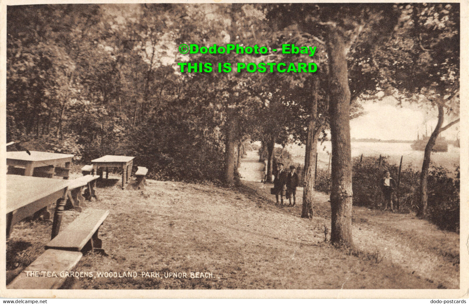 R355881 Upnor Beach. The Tea Gardens. Woodland Park. Postcard - World