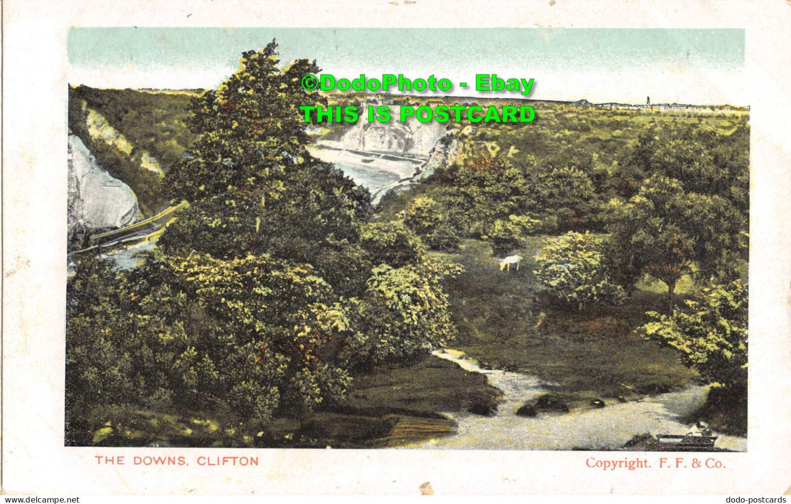 R355886 Clifton. The Downs. D. And D. G. Postcard - World
