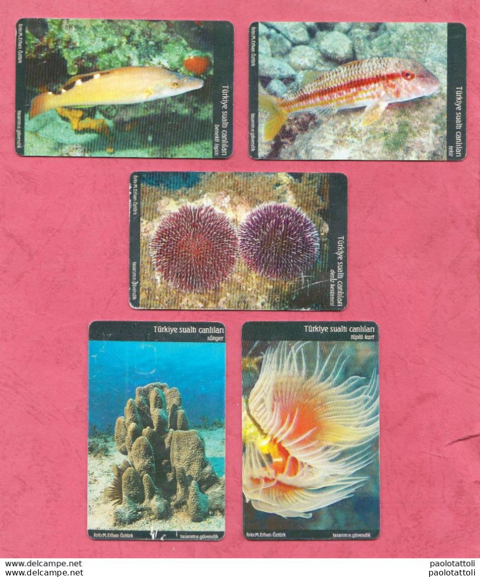 Turkey- Turk Telekom- Turkish Sea Life- Prepaid Phone Card Used By 50 & 100 Units- Lot Of Five Cards. - Türkei