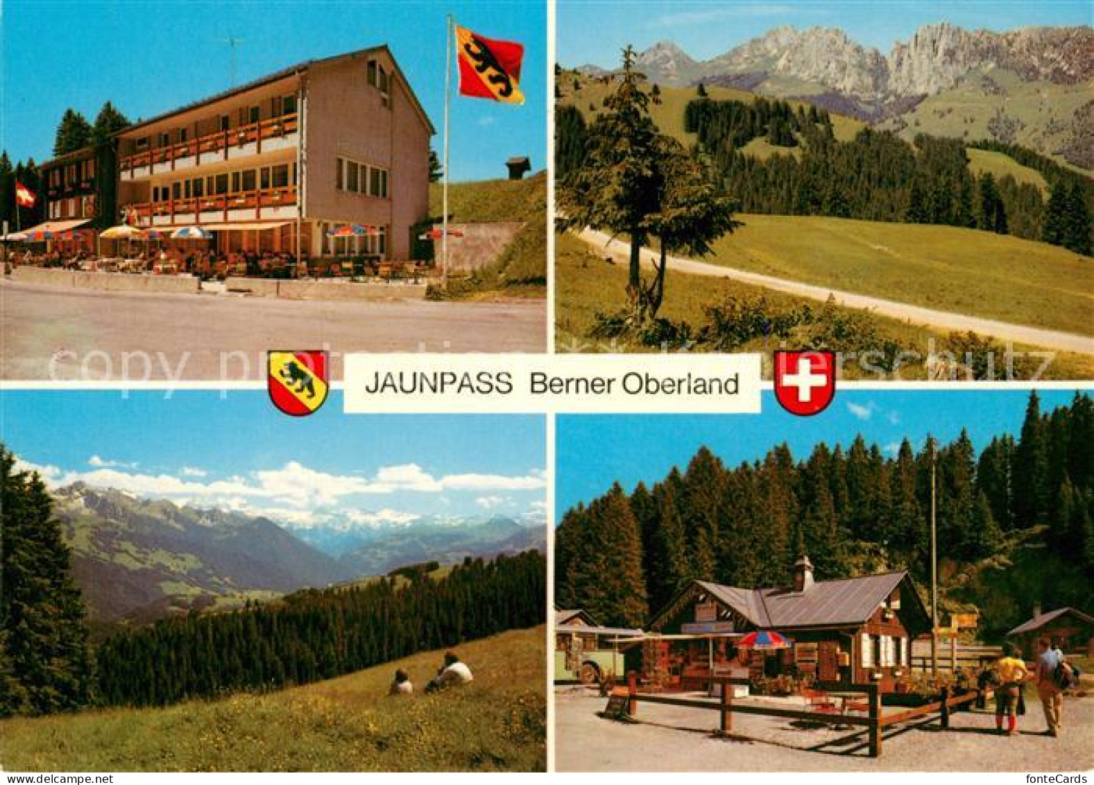 13287297 Jaunpass Hotel Des Alpes Simmental Sportbazar Jaunpass - Autres & Non Classés