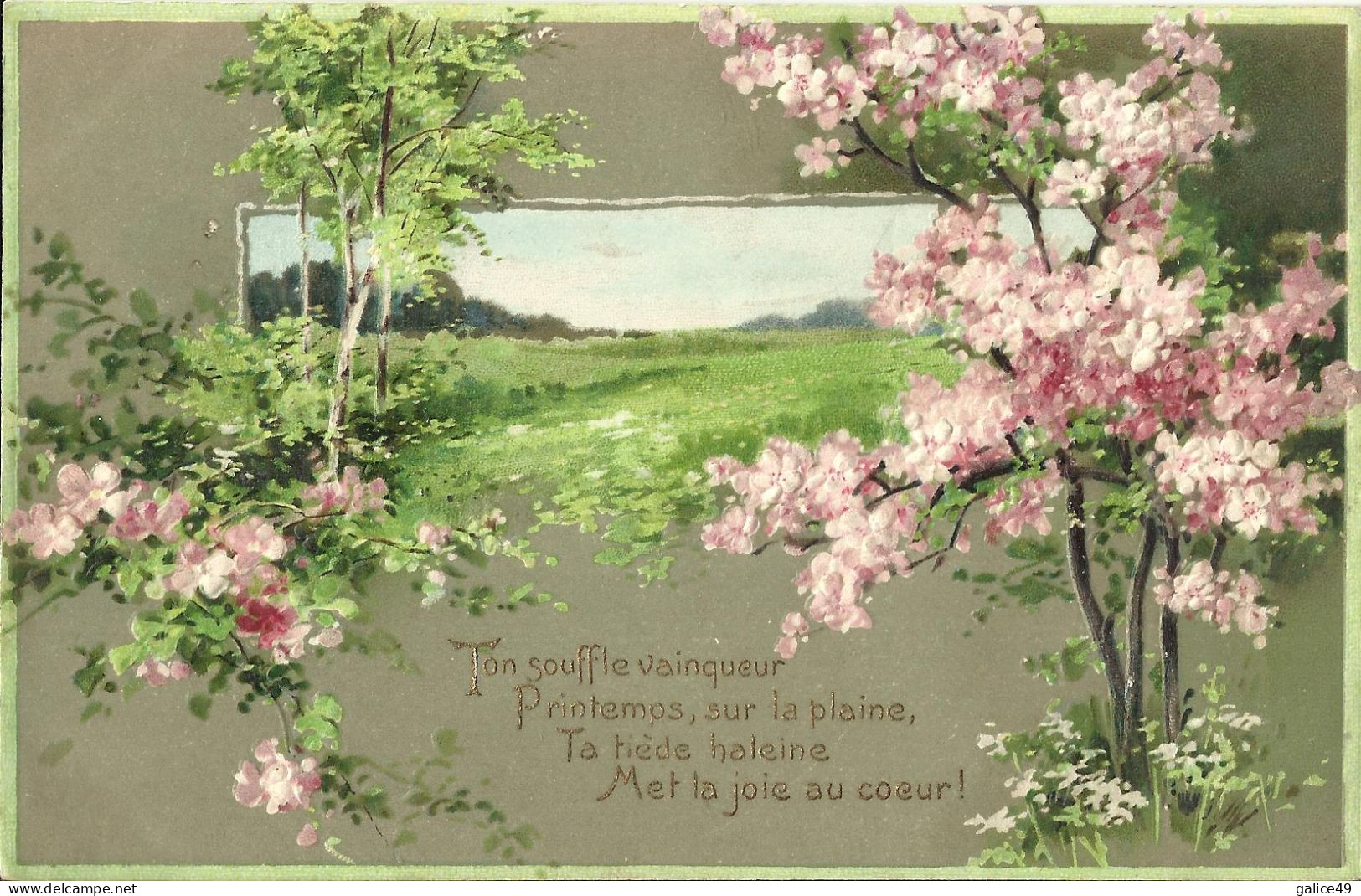 4662 Belle CPA Gaufrée - Fleurs De Pommier Finement Gaufrées - Paysage Printanier - Arbres